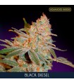 Black Diesel fem. Advanced Seeds