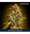 Somango Widow fem. Advanced Seeds