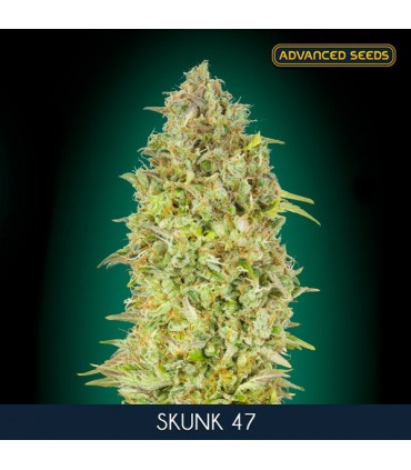 Skunk 47 fem. Advanced Seeds