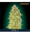 Skunk 47 fem. Advanced Seeds