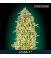 Skunk 47    3 + 1 u. fem. Advanced Seeds