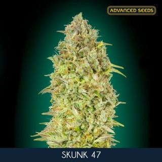 Skunk 47  10 + 3 u. fem. Advanced Seeds