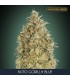 Auto Gorilla Blue    3 + 1 u. fem. Advanced Seeds