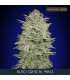 Auto Critical Mass fem. Advanced Seeds