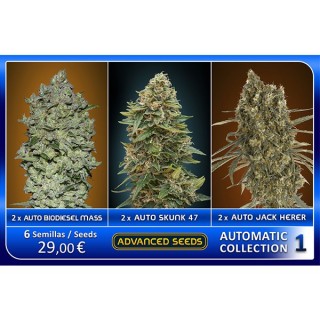Automatic Collection N1 - Advanced Seeds