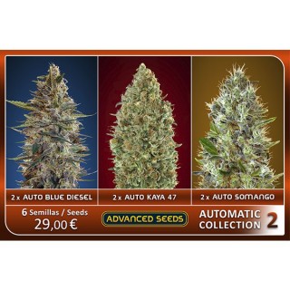 Automatic Collection N2 - Advanced Seeds