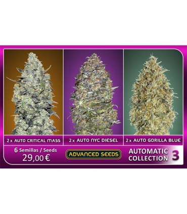 Automatic Collection N3 - Advanced Seeds