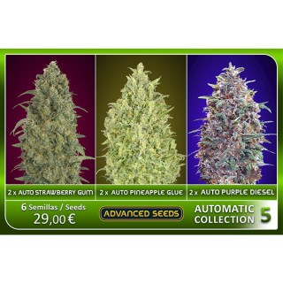 Automatic Collection N5 - Advanced Seeds