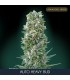 Auto Heavy Bud 10 + 3 u. fem. Advanced Seeds