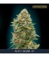 Auto Skunk 47 - 10 + 3 u. fem. Advanced Seeds