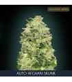 Auto Afghan Skunk    3 + 1 u. fem. Advanced Seeds