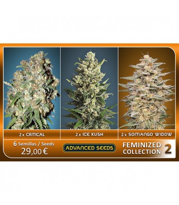 Feminized Collection N2 - Advanced Seeds