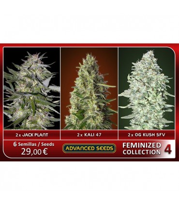 Feminized Collection N4 - Advanced Seeds