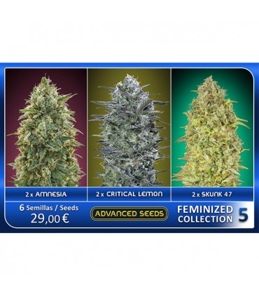Feminized Collection N5 - Advanced Seeds