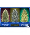 Feminized Collection N5 - Advanced Seeds