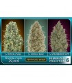 Feminized Collection N6 - Advanced Seeds