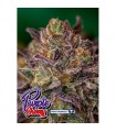 Purple Cherry 5 u. fem. Positronics