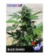 Blue Rhino  5 u. fem. Positronics