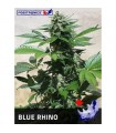 Blue Rhino  3 u. fem. Positronics