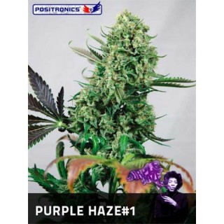 Purple Haze N1 -  3 u. fem. Positronics