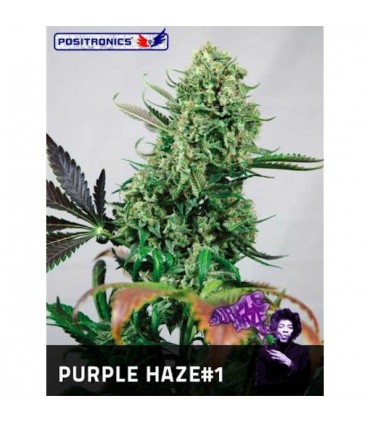 Purple Haze N1 -  3 u. fem. Positronics