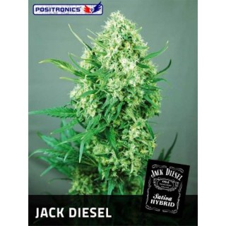 Jack Diesel  3 u. fem. Positronics