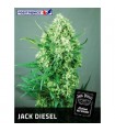 Jack Diesel fem. Positronics