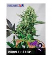 Purple Haze N1 - fem. Positronics