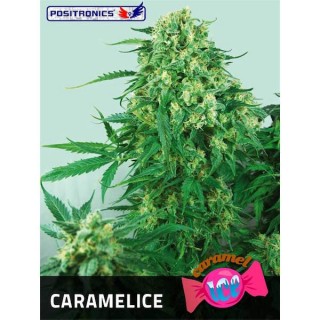 Caramelice fem. Positronics
