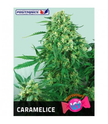 Caramelice fem. Positronics