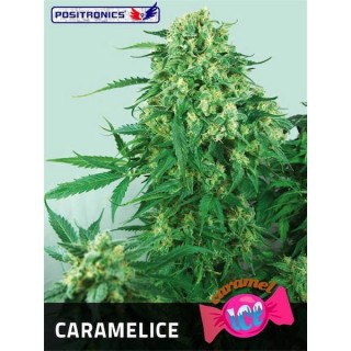 Caramelice 25 u. fem. Positronics