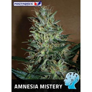 Amnesia Mistery fem. Positronics