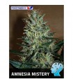 Amnesia Mistery fem. Positronics