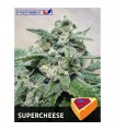 Supercheese fem. Positronics