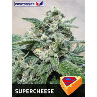 Supercheese  3 u. fem. Positronics