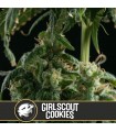 Girl Scout Cookies 3 u. fem. Blimburn Seeds