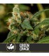 Green Crack 3 u. fem. Blimburn Seeds