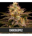 Chocolopez 3 u. fem. Blimburn Seeds