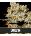 OG's Kush 3 u. fem. Blimburn Seeds