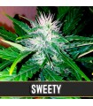 Auto Sweety 3 u. fem. Blimburn Seeds