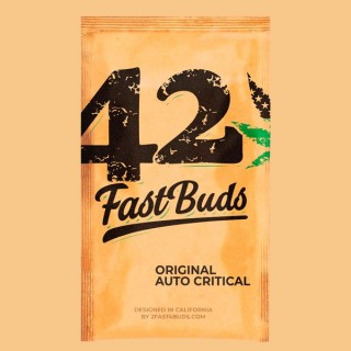 Auto Critical fem. FastBuds Seeds