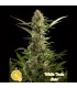 Auto White Yoda 3 u fem Philosopher