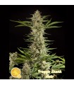 Auto Fraggle Skunk fem Philosopher