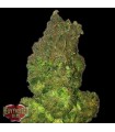 Auto Fruit Punch fem. Heavyweight Seeds