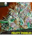 Fruity Pebbles fem. Black Skull Seeds