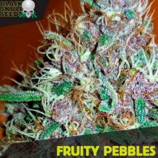 Fruity Pebbles  10 u. fem. Black Skull Seeds