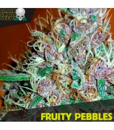 Fruity Pebbles  10 u. fem. Black Skull Seeds