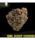 Girl Scout Cookies fem. Black Skull Seeds