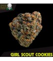 Girl Scout Cookies fem. Black Skull Seeds