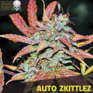 Auto Zkittlez fem. Black Skull Seeds